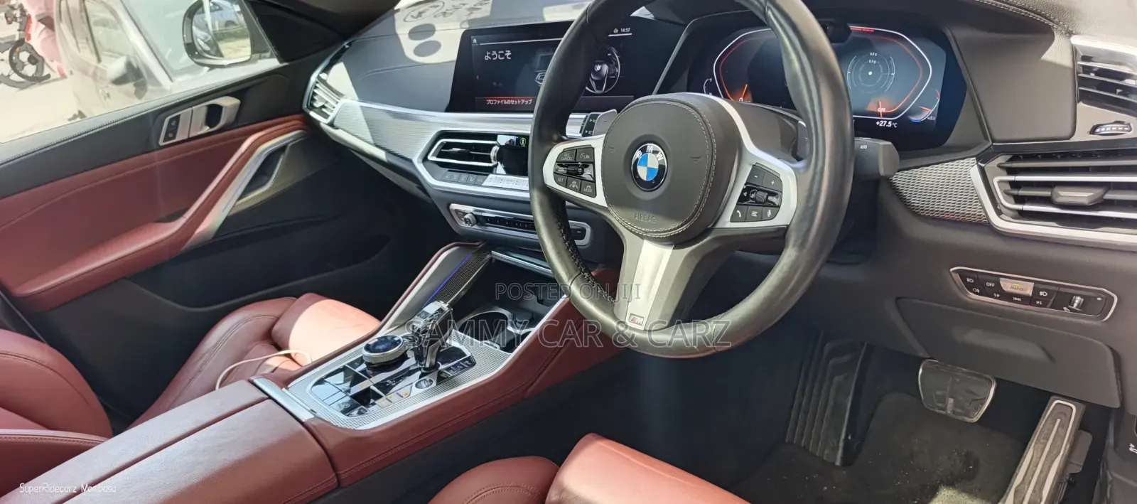 BMW X6 2022 White