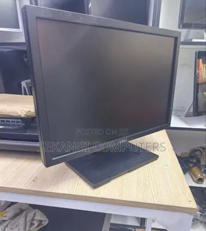 Dell 19-Inch Wide Monitor