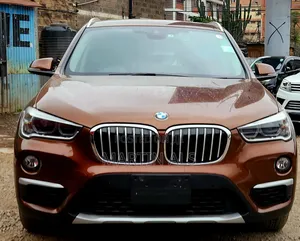 BMW X1 2017 Brown