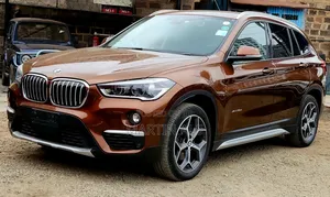 BMW X1 2017 Brown