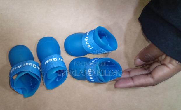 Puppy Waterproof Dog Shoes