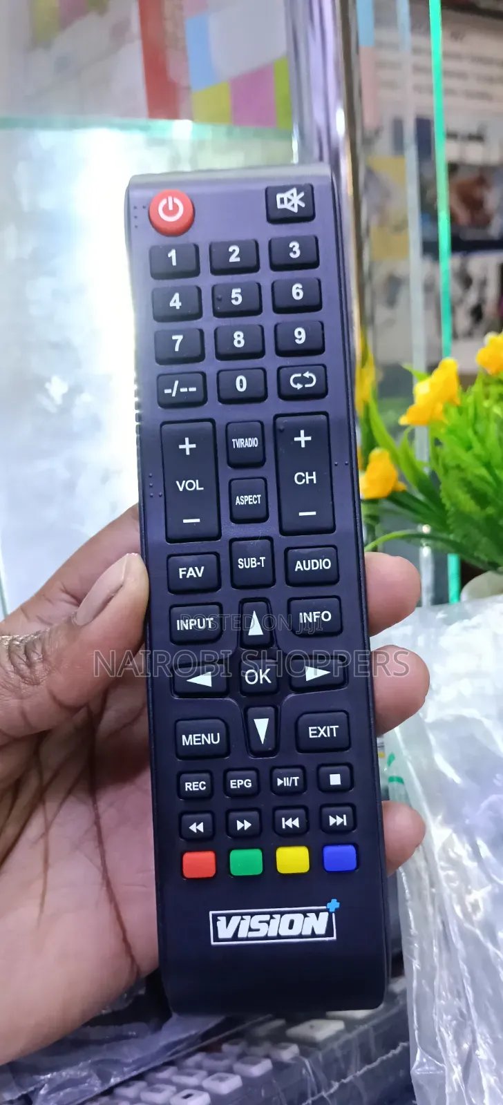 Vision Remote Replacement