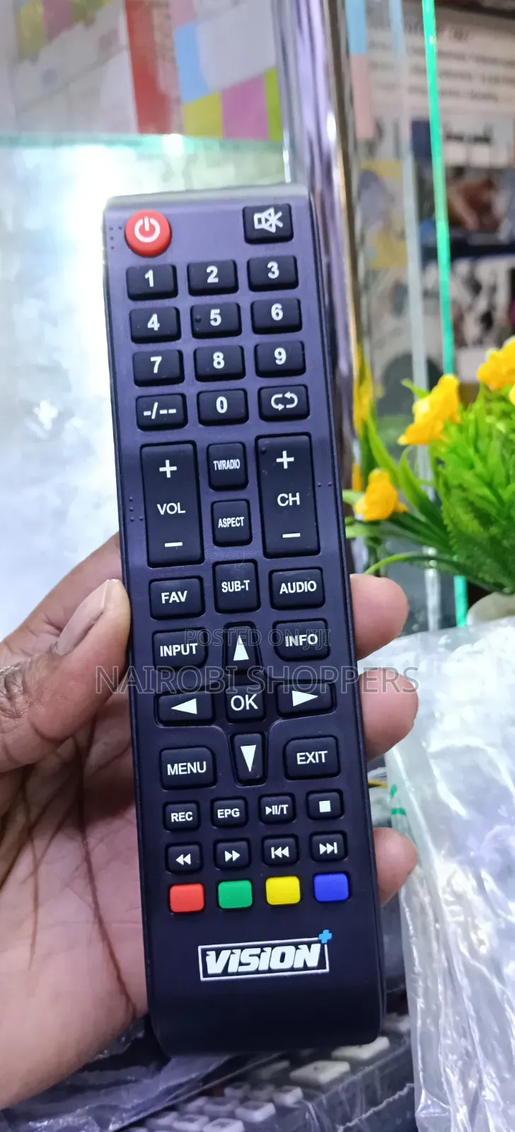 Vision Remote Replacement