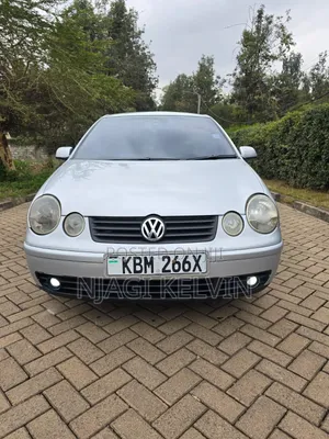 Volkswagen Polo 2005 Silver