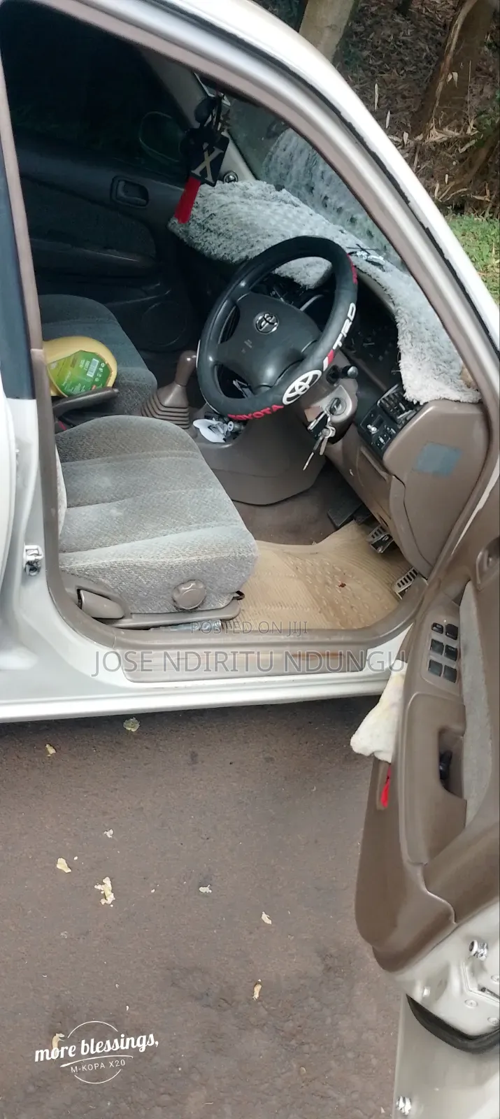 Toyota Corolla 2003 Gray