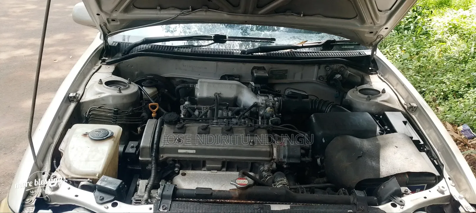 Toyota Corolla 2003 Gray
