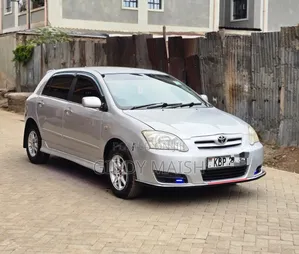 Toyota Corolla RunX 2006 Silver