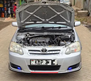 Toyota Corolla RunX 2006 Silver