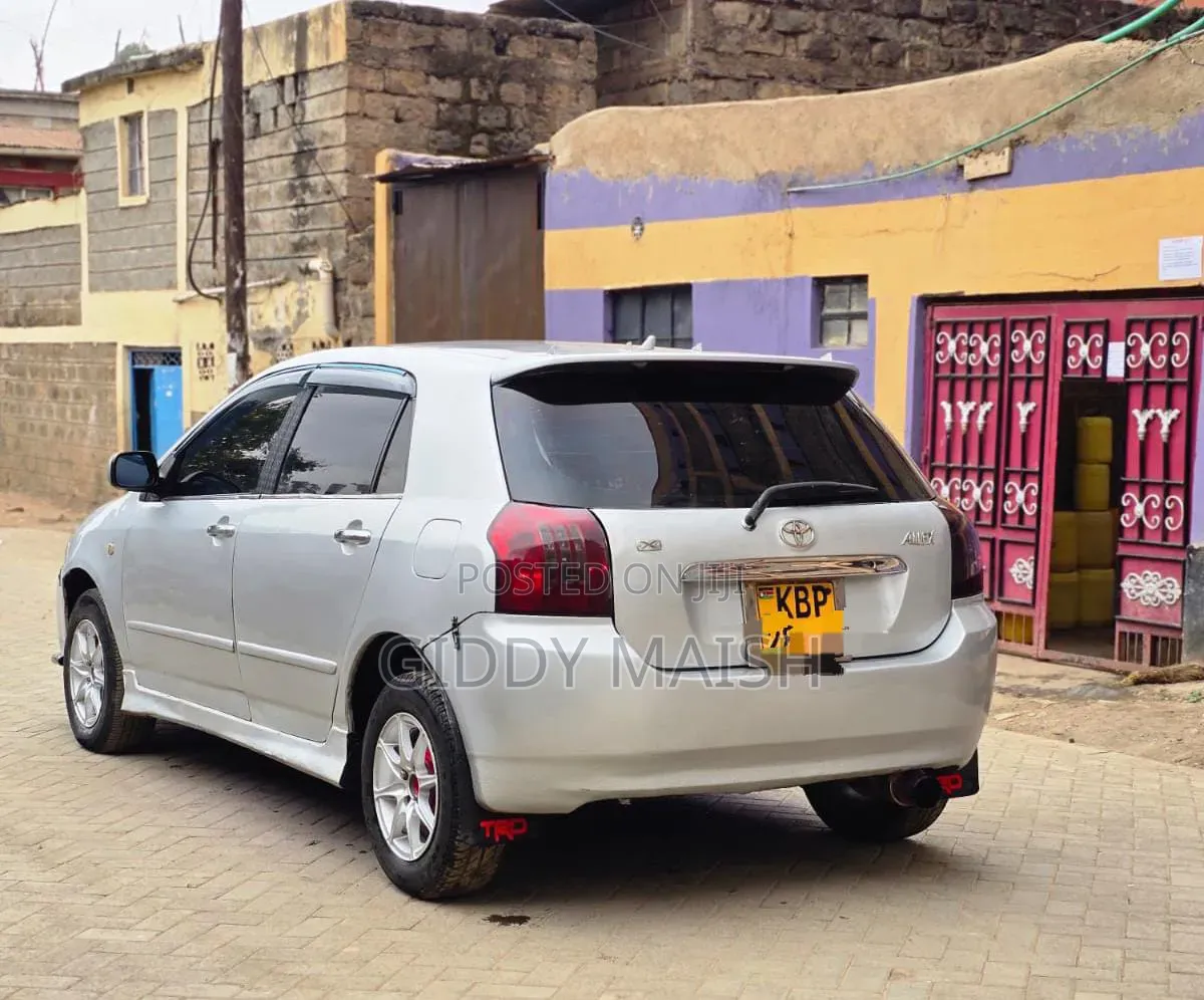 Toyota Corolla RunX 2006 Silver