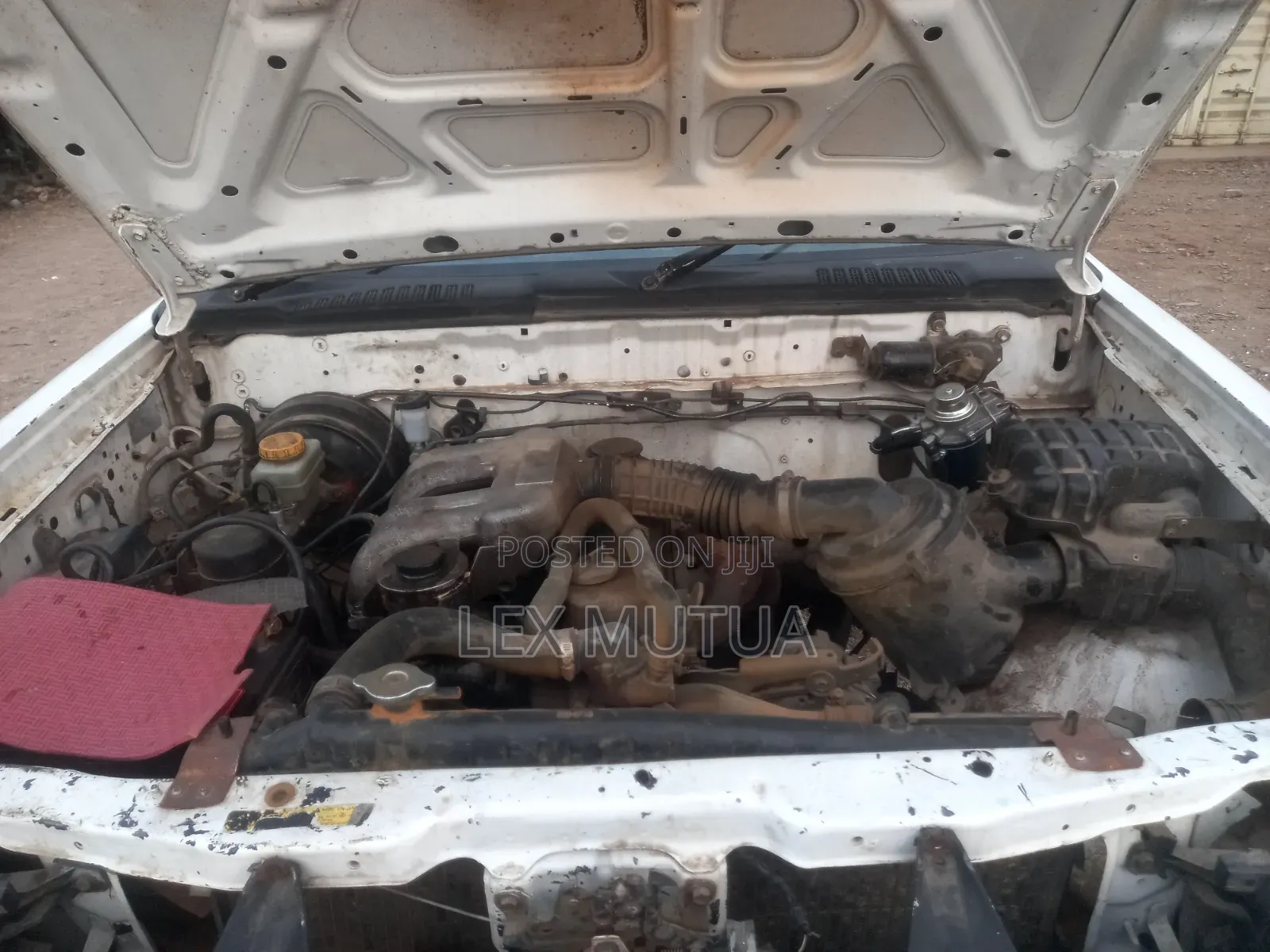 Nissan Hardbody 2012 White