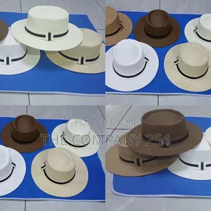Quality Casual Knitted Delivery Summer Raila Hats Available