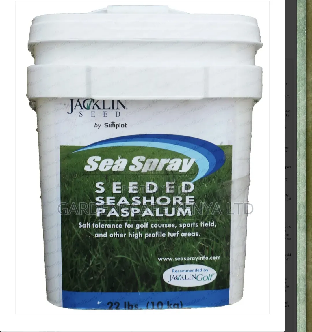 SEASHORE Paspalum Grass Seeds Per 500grams