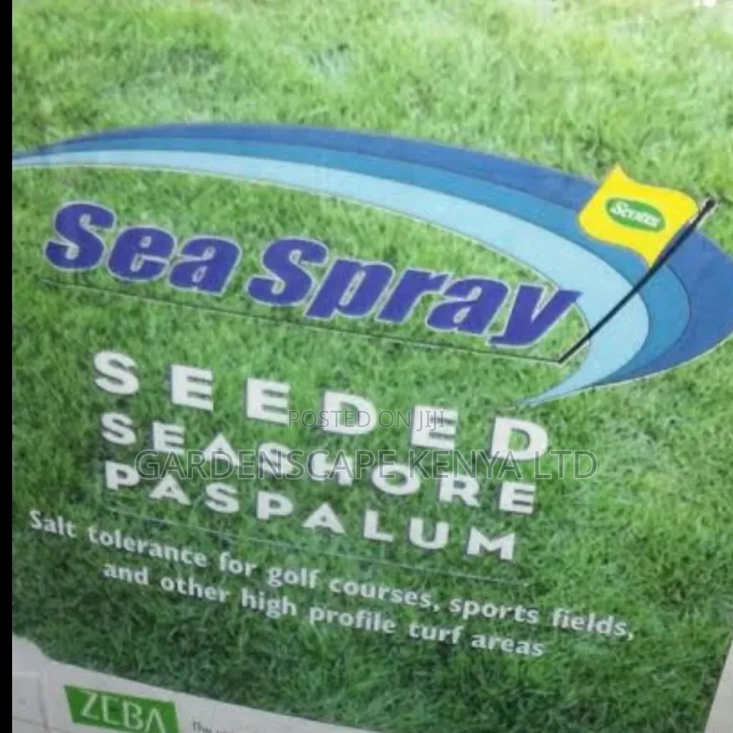 SEASHORE Paspalum Grass Seeds Per 500grams