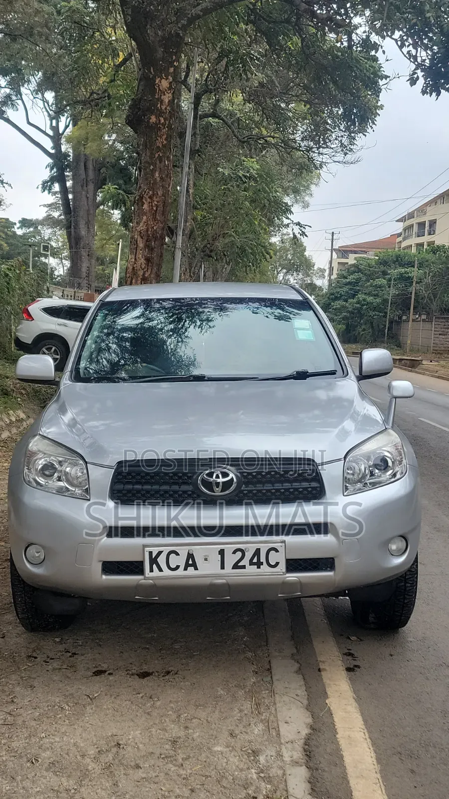 Toyota RAV4 2009 Silver