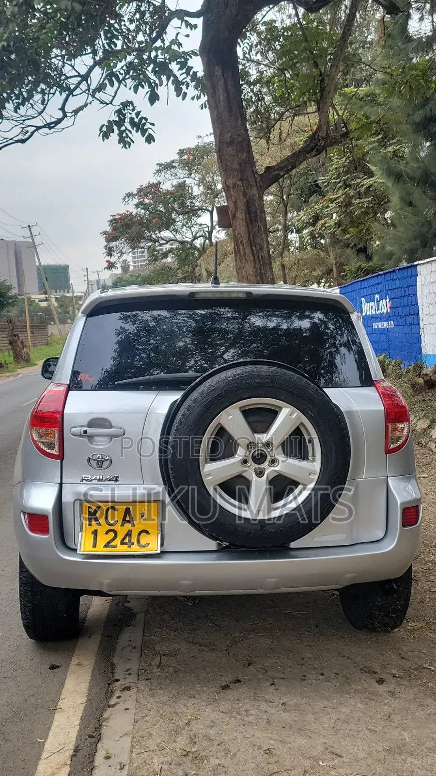 Toyota RAV4 2009 Silver