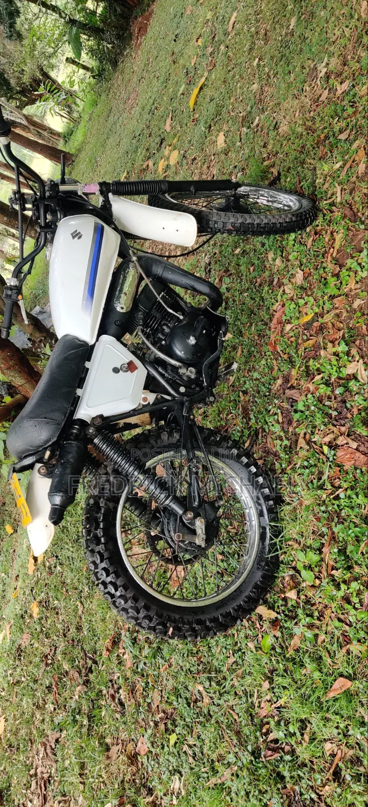 Suzuki 2010 White