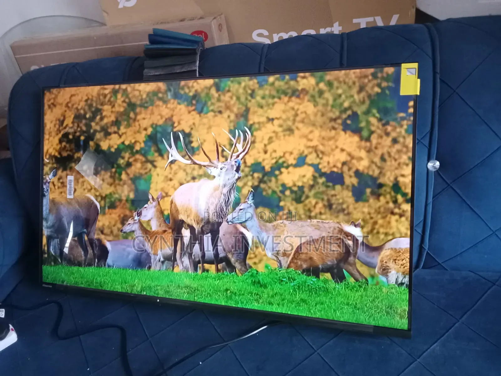 Hisense 43 Inch Smart TV