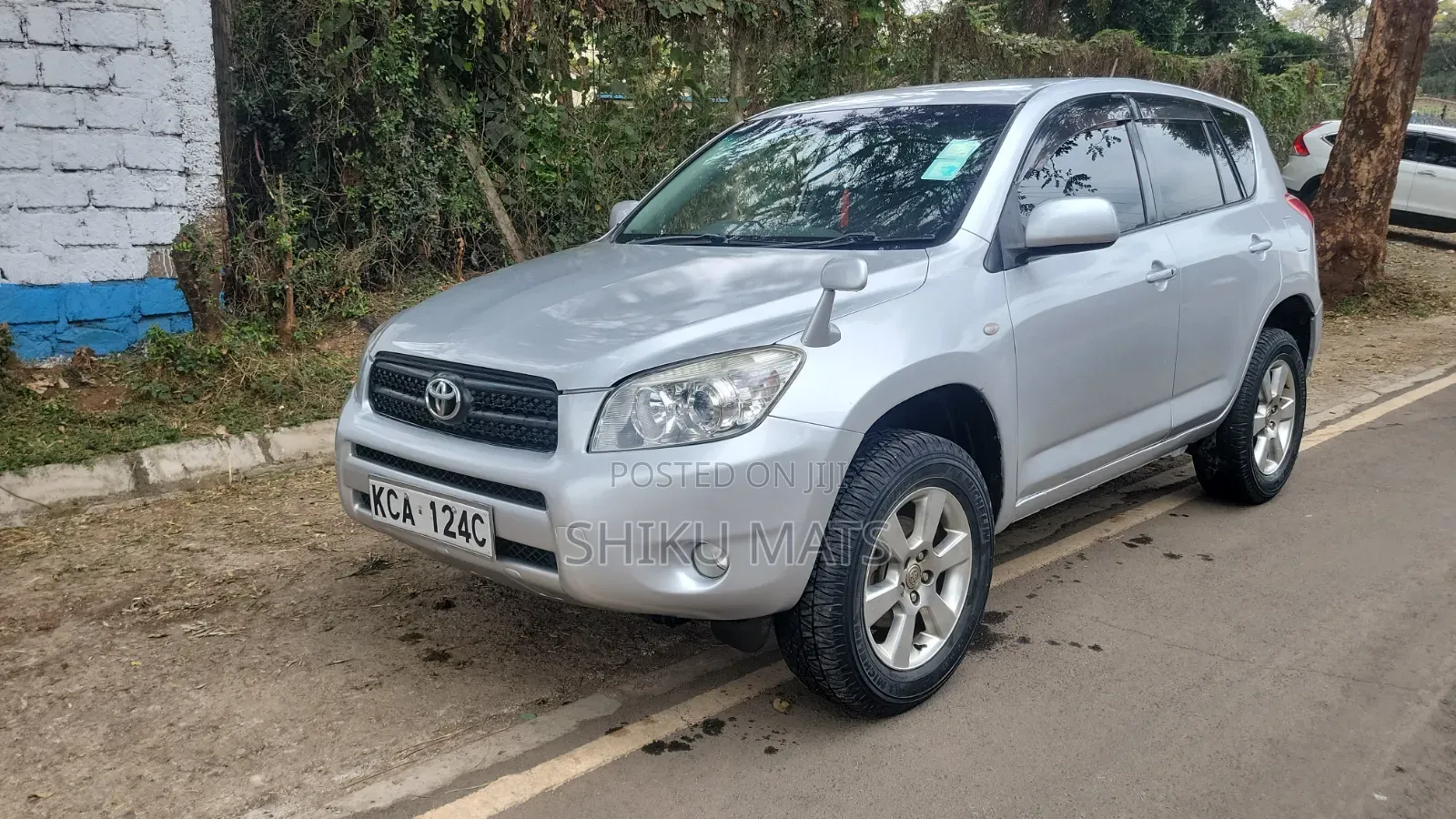 Toyota RAV4 2009 Gray