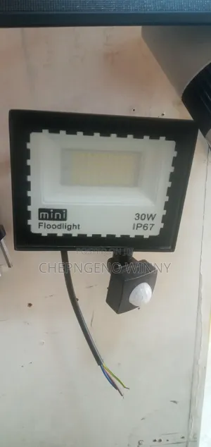 30watts Mini Floodlight