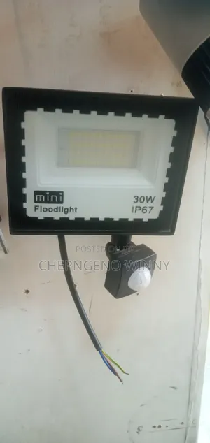 30watts Mini Floodlight