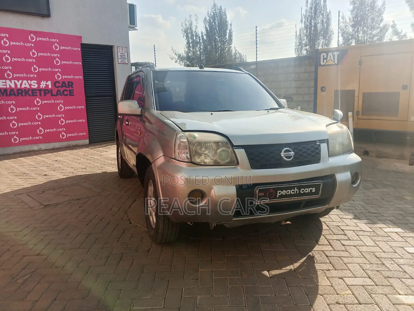 Nissan X-Trail 2006 Gray