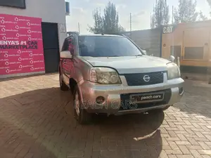 Nissan X-Trail 2006 Gray