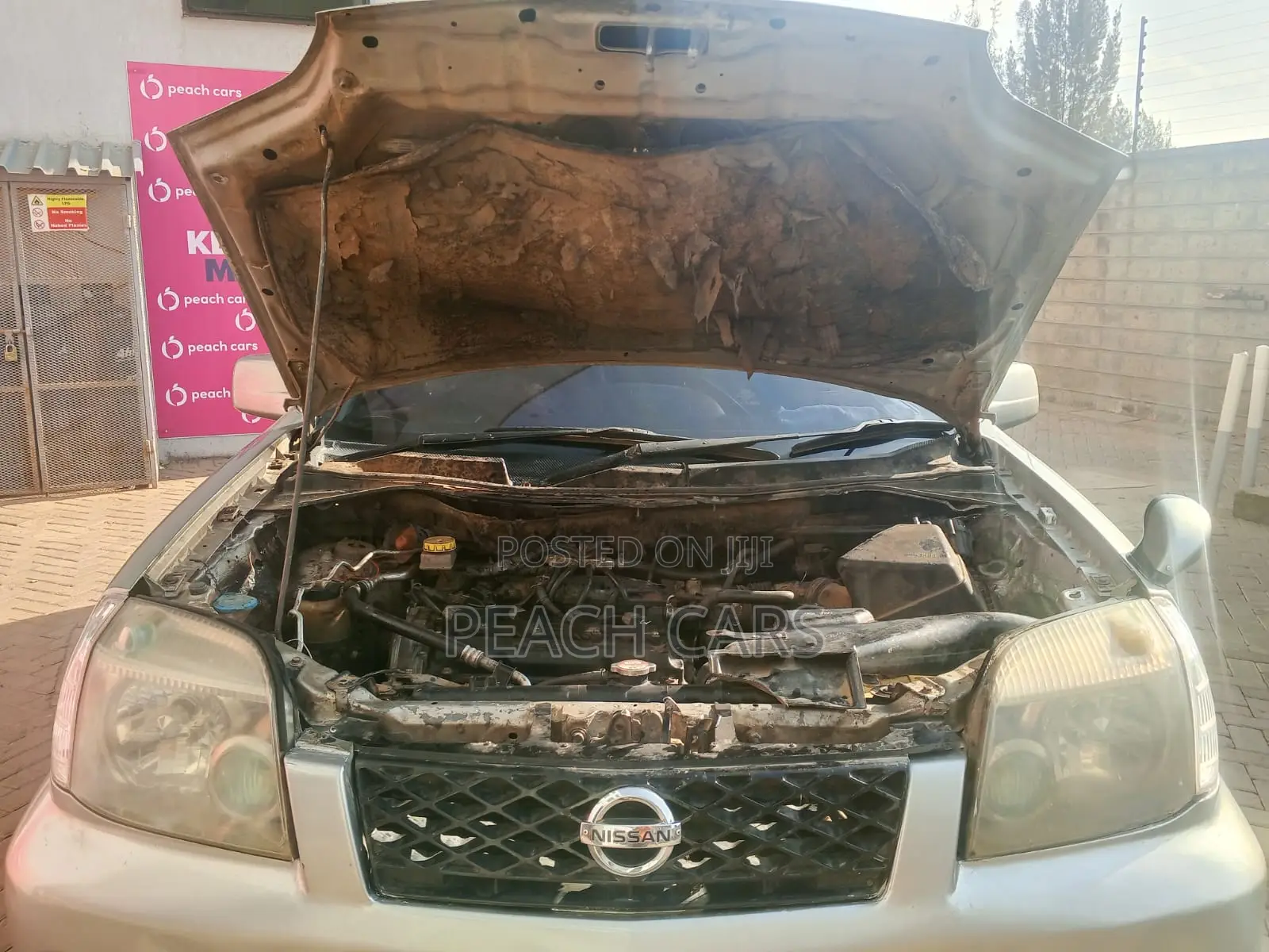 Nissan X-Trail 2006 Gray