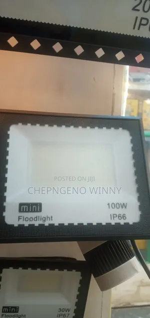 100watts Floodlight AC