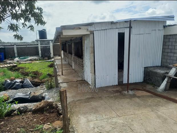 Single Room in Own 50x100 Compound - thumbnail 2