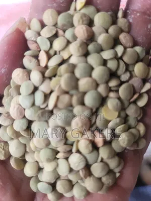 Fresh Kamande Pigeon Peas for Sell