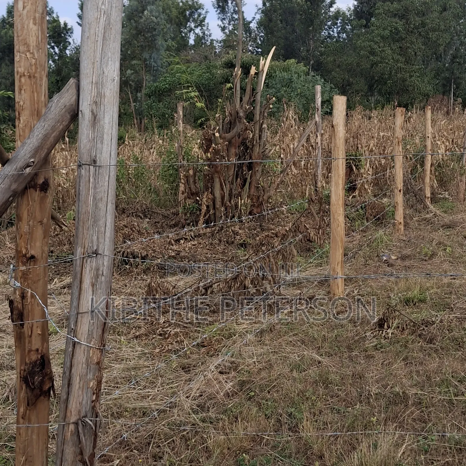 Prime Plots for Sale