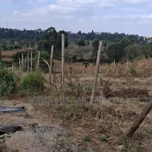Prime Plots for Sale
