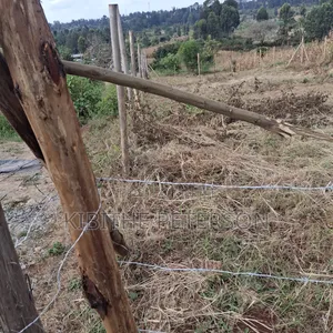 Prime Plots for Sale