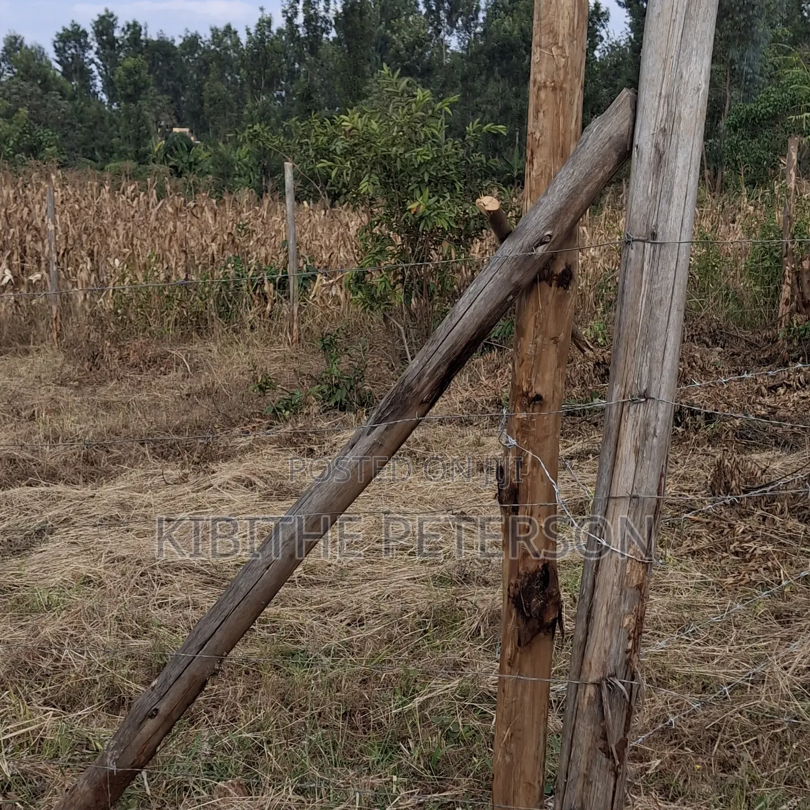 Prime Plots for Sale