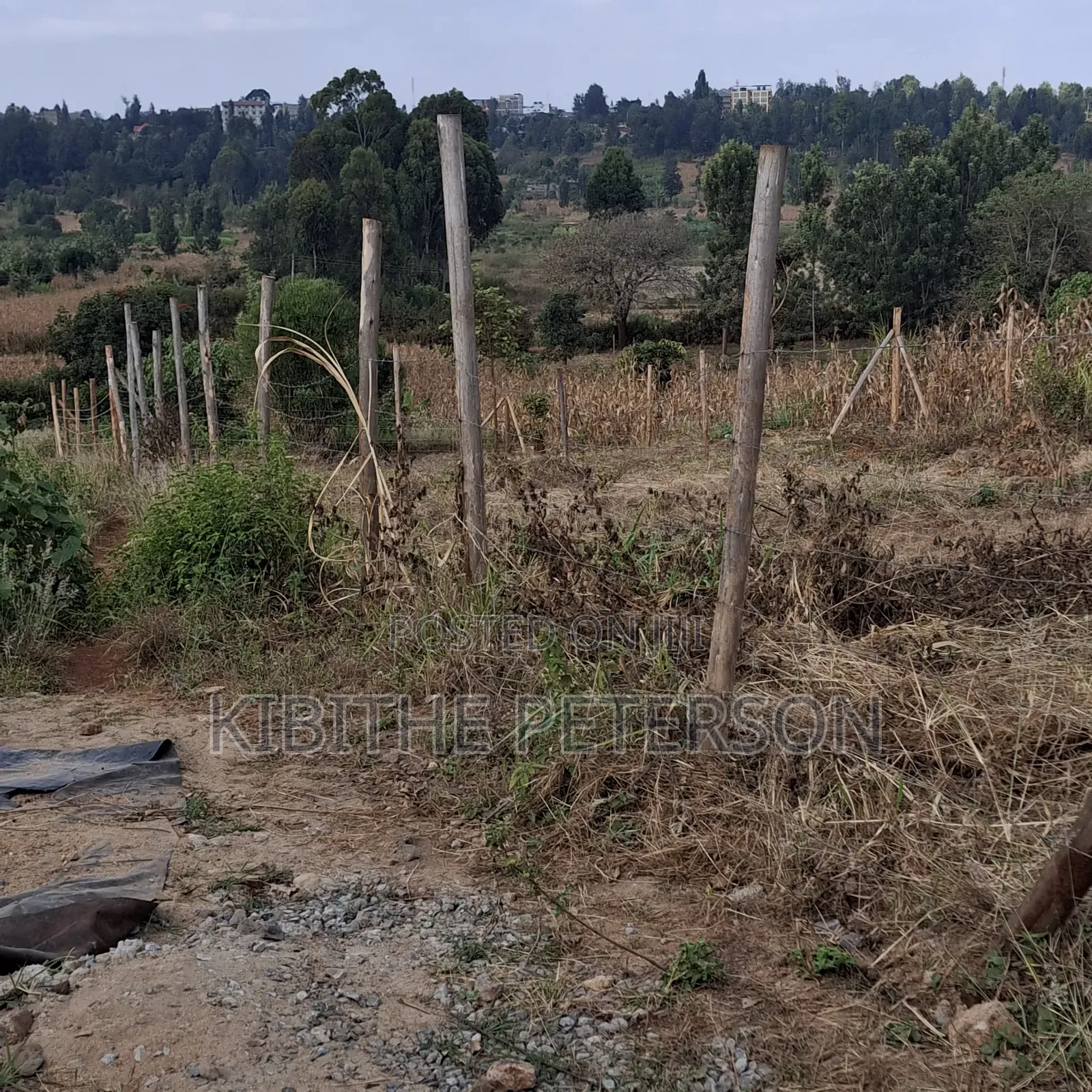 Prime Plots for Sale