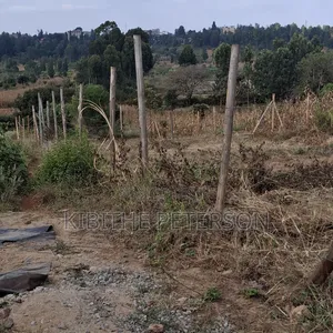 Prime Plots for Sale