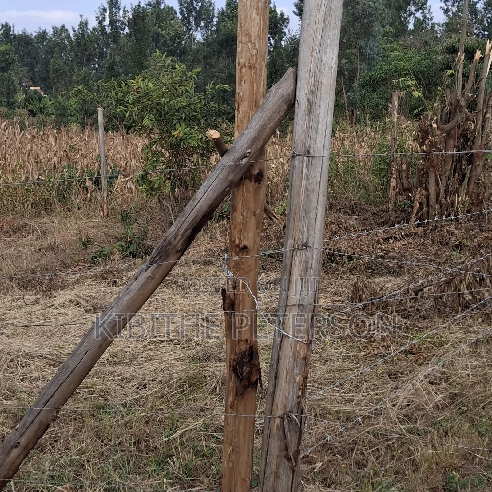 Prime Plots for Sale