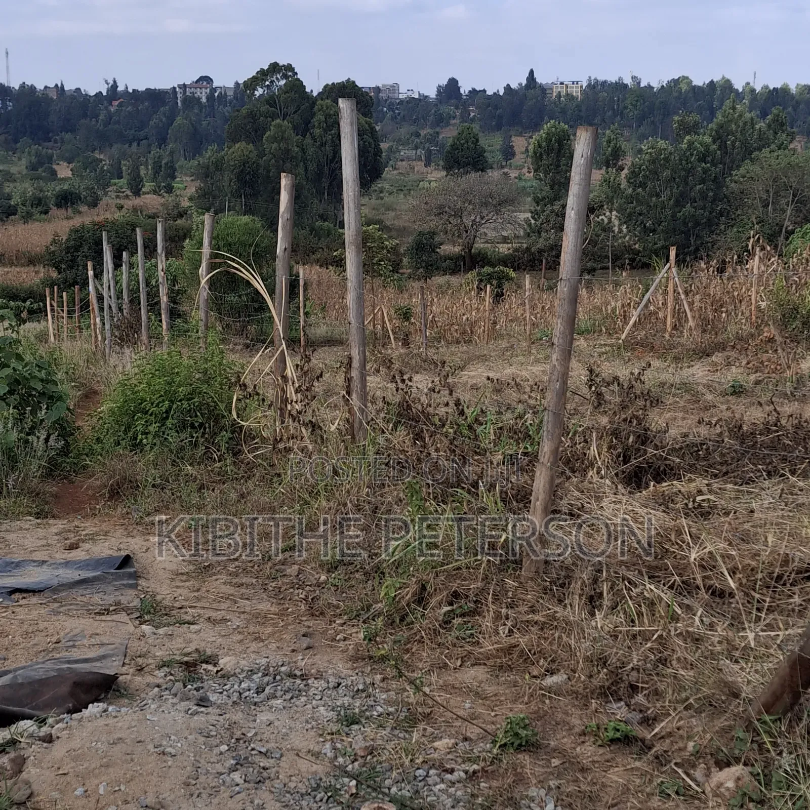 Prime Plots for Sale