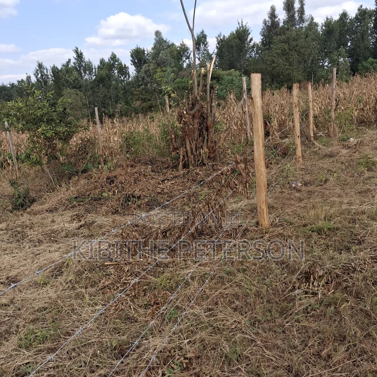 Prime Plots for Sale