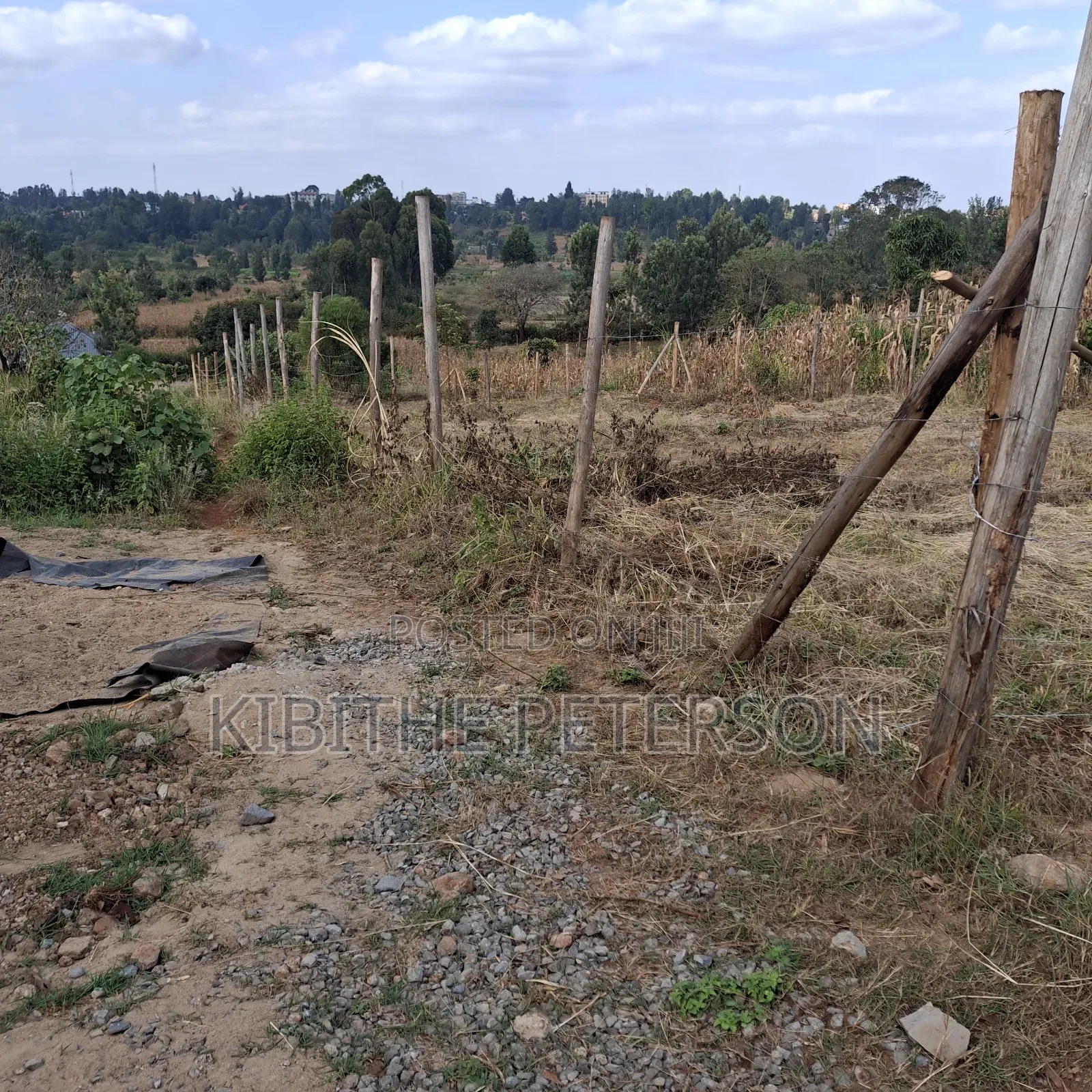 Prime Plots for Sale