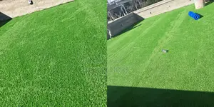 Premium Turf Carpet for Outdoor Home Improvements
