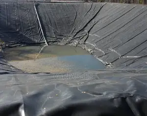 Strong Dam With a Strong Dam Liner