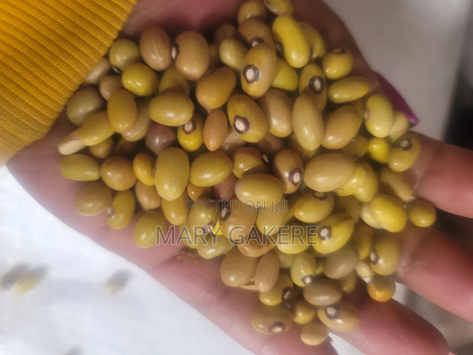 Yellow Beans
