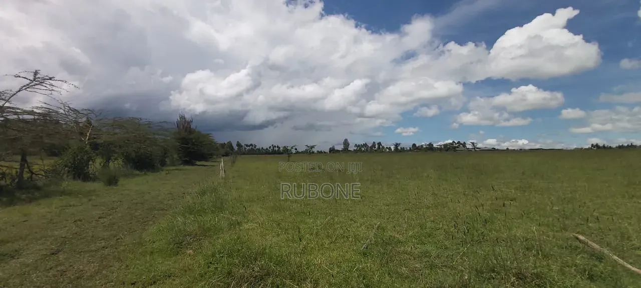 Airport Nanyuki Plots 50*100 Lipa Pole Pole