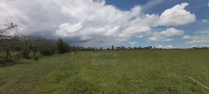Airport Nanyuki Plots 50*100 Lipa Pole Pole