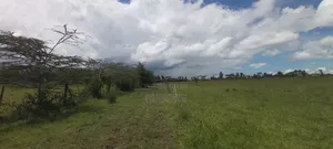 Airport Nanyuki Plots 50*100 Lipa Pole Pole
