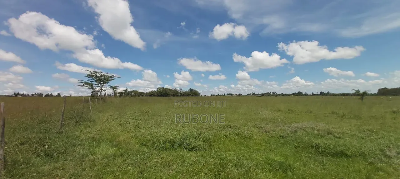 Airport Nanyuki Plots 50*100 Lipa Pole Pole
