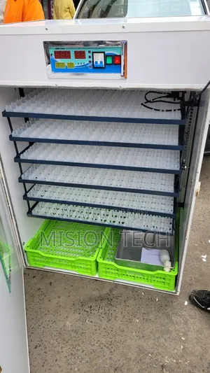 1056-Egg Capacity Automatic * 