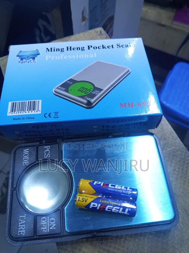 Professional Pocket Scale