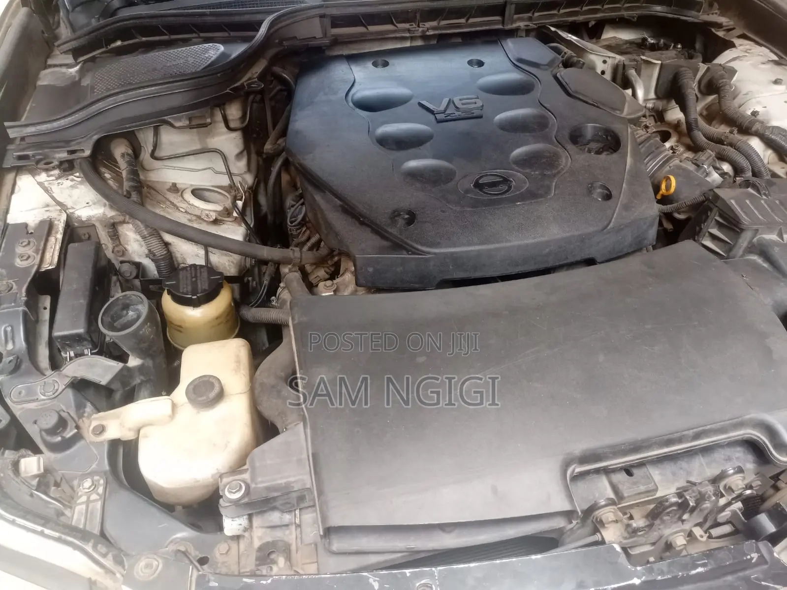 Nissan Fuga 2006 White